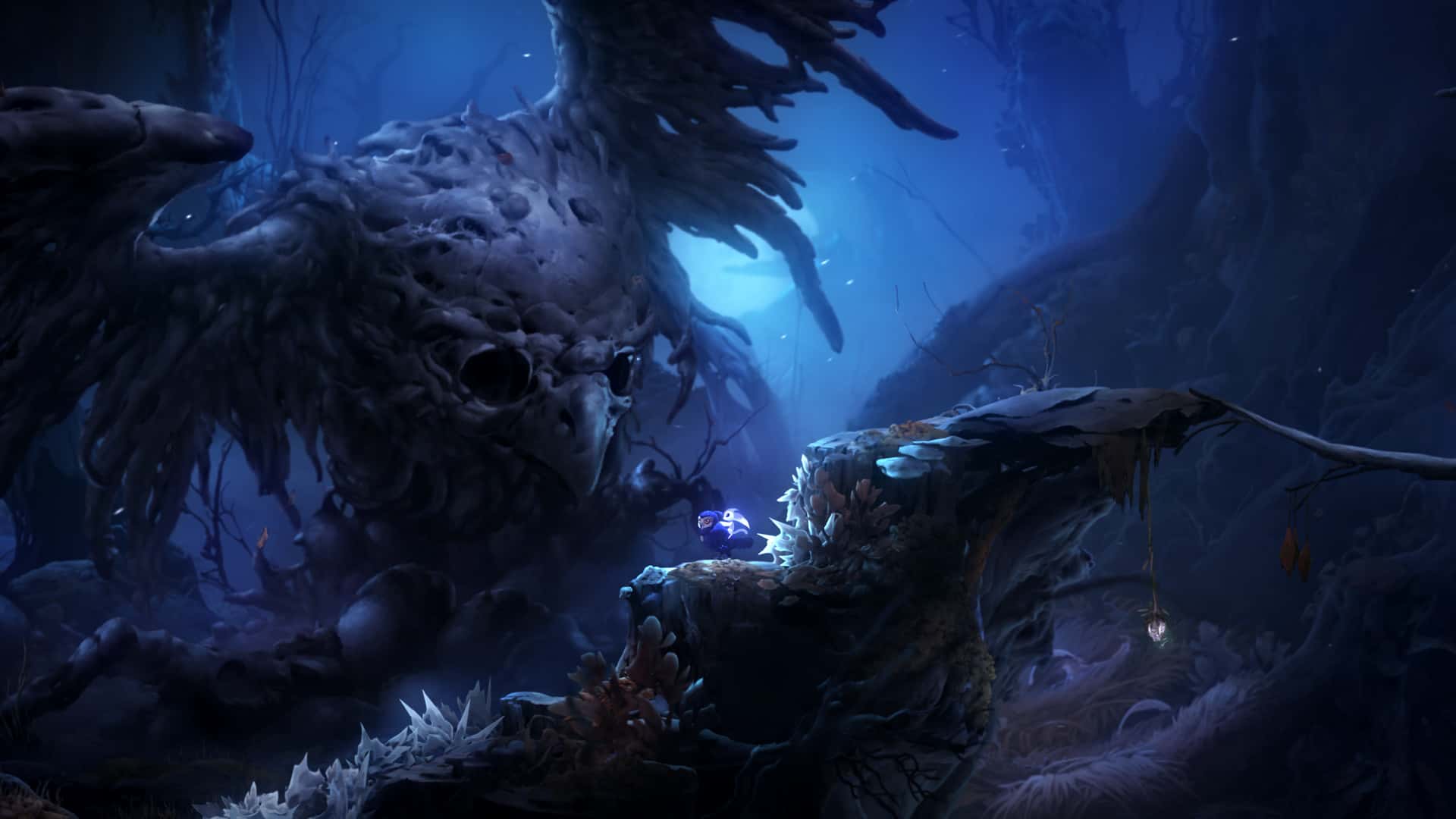 奥日与鬼火意志 精灵与萤火意志 Ori and the Will of the Wisps B.5780606 中文版背景